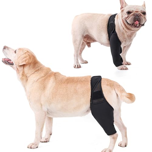 Zerodis Hunde-Kniebandage für Gerissenes ACL-Hinterbein, Kreuzbandverletzungen, Patellaluxation oder Arthrose, Hunde-ACL-Kniebandage, Hundebandage für das Hinterbein Zur Unterstützung (S) von Zerodis