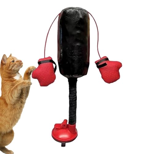 Boxsbackkatze Spielzeug -Sandbag mit Handschuhen Katzenspielzeug, Vista Kätzchen Sandbag Playjim -Pet Boxing Bag Übung Tee -Tisor für Haustiere, Kätzchen, kleine Hunde, Welpen tätig Tee Kreatives Boxt von Zestivra