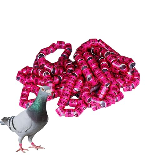 Zestivra Vogel-Fußringe, Tauben-Identifizierungsringe Taubenringe 50 Stück,Generic Pigeon Supplies Bänder, Vogelfußringe, Pegeon-Zubehör Für Rennpapageien, Küken, Enten von Zestivra