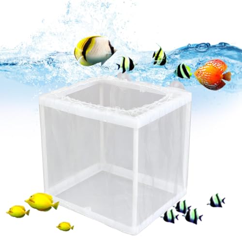 Aquarium-Zuchtbox,Aquarium-Zuchtbox - Fischisolationsbox Netzbox,Fischbrutplatz Mit Saugnäpfen, Jungfisch-Trennnetz Für Clownfische von Zestvria