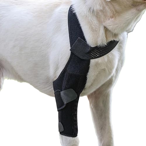 Hunde-Beinstützbandage – Hunde-Beinschutz, Rückenbeinstütze, hohe Elastizität, Metallstreifenstütze, atmungsaktive Hunde-Beinbandage, elastische stützende Hunde-Bandage, Beinbandage für Hunde von Zestvria