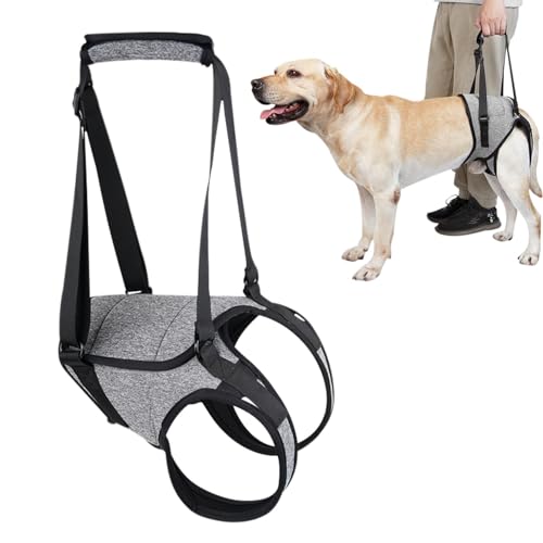 Hunde-Hebegeschirr, Stützschlinge, Senioren-Hundegeschirr, Haustier-Spaziergänge, Hinterbeinstütze, Hundegeschirr, Haustier-Spaziergänge, behindertes Hundegeschirr mit adaptivem Design, Unterstützung von Zestvria