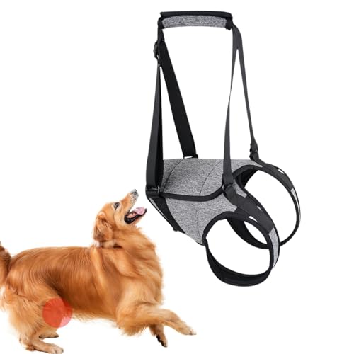 Hunde Hebegeschirr - Hund Mobilitätshilfe, Hunde Heben Sling | Gelenkverletzte Hunde Beinstütze, Senior Dog Rehabilitation Support Harness Hundegeschirr Gehhilfen für Behinderte Hunde von Zestvria