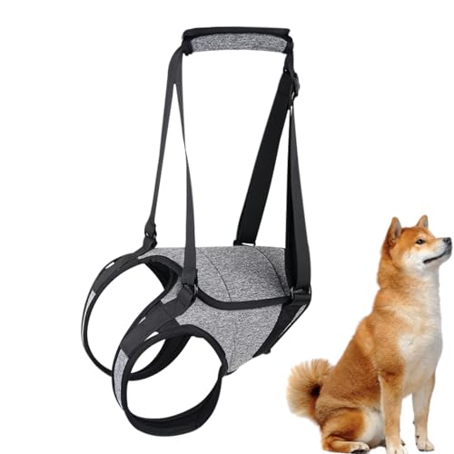 Hunde Hebegeschirr - Hund Mobilitätshilfe, Hunde Heben Sling | Gelenkverletzte Hunde Beinstütze, Senior Dog Rehabilitation Support Harness Hundegeschirr Gehhilfen für Behinderte Hunde von Zestvria