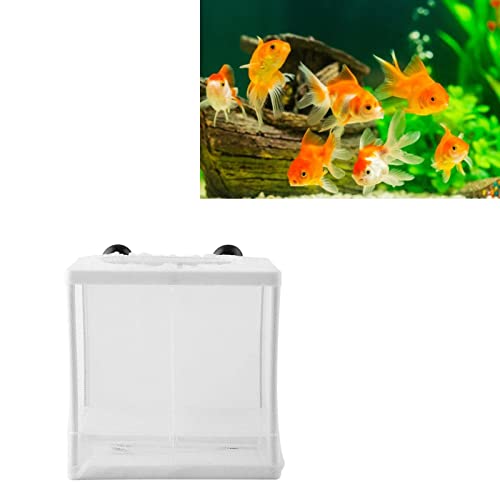 Zetiling Fisch Isolation Box, Kunststoffrahmen Weiße Isolation Mesh Box mit Saugnapf Multifunktionale Aquarium Tank Zubehör Ideal für Fischzüchter von Zetiling