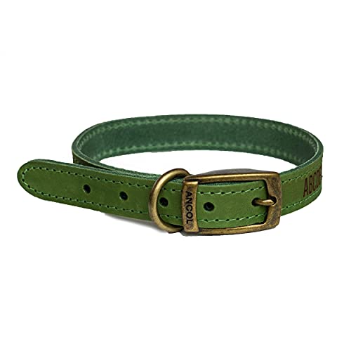 Hundehalsband Leder, personalisiert, graviert - Grün/Mittel (Optional: Leine) von Zewool