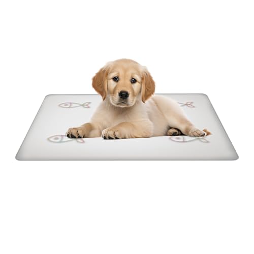 Zhadyu Hunde Kühlmatte | Kühlunterlage Für & Transportbox - Tragbare Druckentlastende Schlaffläche Für Katzen Auto Balkon Garten Zhadyu Hunde Kühlmatte | Kühlunterlage Für & Transportbox - Tragbare Druckentlastende Schlaffläche Für Katzen Auto Balkon Garten von Zhadyu