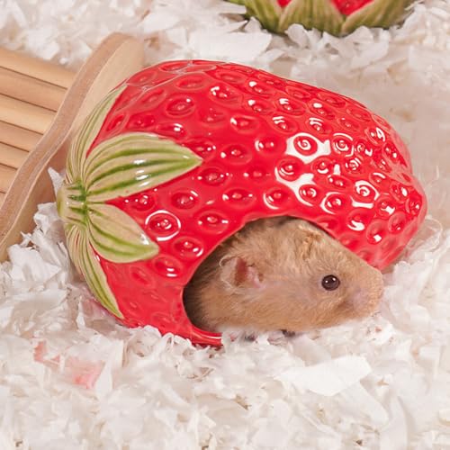 Zhilishu Hamsterversteck aus Keramik, Erdbeer-Hamsterhaus und Lebensraum, syrisches Hamsterversteck Dekor, kühles Bett für alle Jahreszeiten, Rennmäuse, Mäuse, Meerschweinchen von Zhilishu