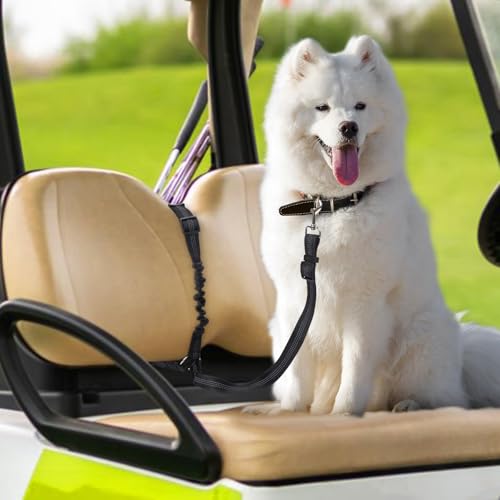 Doggie Sitzleine für Golfwagen, Golfwagen, Hundegeschirr, Hundesitz für Golfwagen, Golfwagen, Hunde-Sicherheitsgurt – verstellbare schwarze Nylon-Hundeleine mit Edelstahl-Schnalle, Schwarz von Zhizaiql