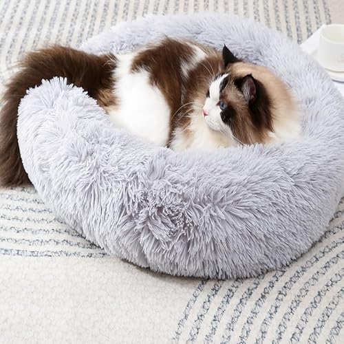 Zhoothyomiru Katzenbett Donut Hundebett Flauschiges Katzenbett Hundesofa Bett Hundehöhle Bett Haustierbett Hund Welpenbetten Kleine Hunde Haustierbett Katze Haustier Kissen Warmes Katzenbett von Zhoothyomiru