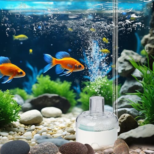 Zhwidnerso Mini-Aquarium-Schwammfilter, interner Aquariumfilter und Bio-Filter für kleine Fische für Betta-Tank mit Schaumstoff und Filterbällen, Tauchfilter (ohne Pumpe und Schlauch) von Zhwidnerso