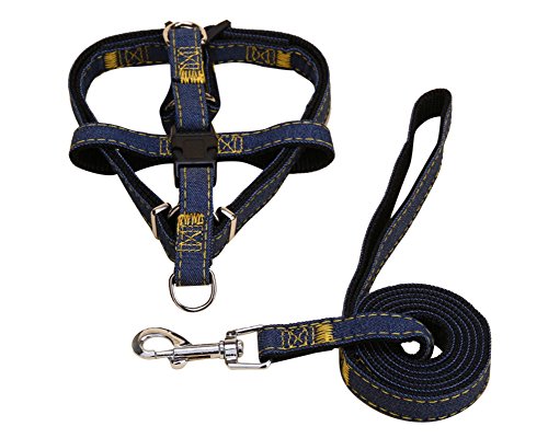 Hundegeschirr und Leine Set Einstellbare & Dauerhaft & Stabil Brustgeschirr Denim & Nylon Hundeleine für Kleine, Mittlere und Große Hunde Perfekt für Walking Laufen Training Black2-Stück L von ZiXing