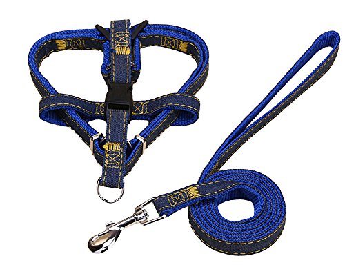 Hundegeschirr und Leine Set Einstellbare & Dauerhaft & Stabil Brustgeschirr Denim & Nylon Hundeleine für Kleine, Mittlere und Große Hunde Perfekt für Walking Laufen Training Blau2-Stück L von ZiXing