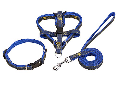 Hundegeschirr und Leine Set Einstellbare & Dauerhaft & Stabil Brustgeschirr Denim & Nylon Hundeleine für Kleine, Mittlere und Große Hunde Perfekt für Walking Laufen Training Blue3-Stück L von ZiXing