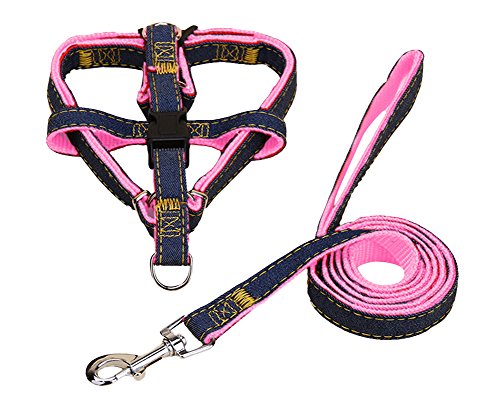 Hundegeschirr und Leine Set Einstellbare & Dauerhaft & Stabil Brustgeschirr Denim & Nylon Hundeleine für Kleine, Mittlere und Große Hunde Perfekt für Walking Laufen Training Pink2-Stück L von ZiXing