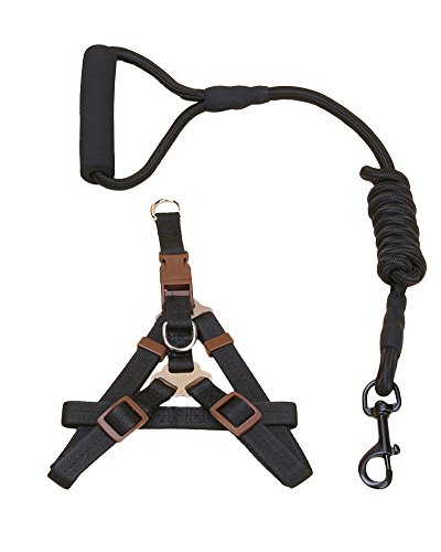 ZiXing Hundeleine Harness Collar Verstellbarer Durable Nylon Seil Comfort Schaum Griff Helle Farben für Kleine Mittlere und Große Hunde Black2-Stück L von ZiXing