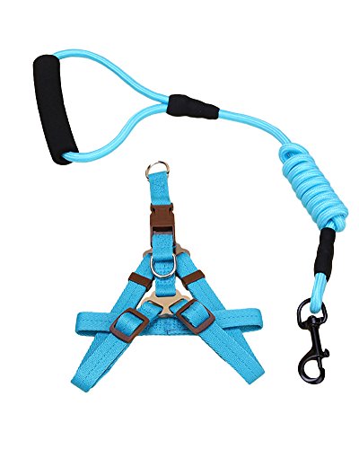 ZiXing Hundeleine Harness Collar Verstellbarer Durable Nylon Seil Comfort Schaum Griff Helle Farben für Kleine Mittlere und Große Hunde Blau2-Stück L von ZiXing