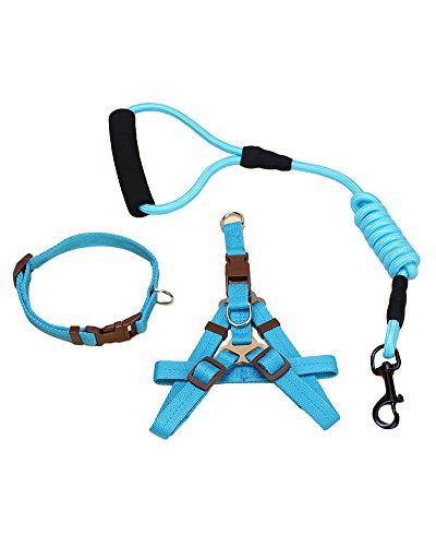 ZiXing Hundeleine Harness Collar Verstellbarer Durable Nylon Seil Comfort Schaum Griff Helle Farben für Kleine Mittlere und Große Hunde Blue3-Stück L von ZiXing