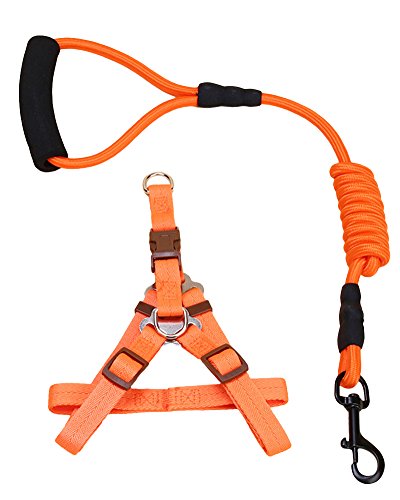 ZiXing Hundeleine Harness Collar Verstellbarer Durable Nylon Seil Comfort Schaum Griff Helle Farben für Kleine Mittlere und Große Hunde Orange2-Stück M von ZiXing