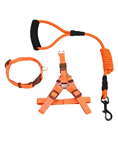 ZiXing Hundeleine Harness Collar Verstellbarer Durable Nylon Seil Comfort Schaum Griff Helle Farben für Kleine Mittlere und Große Hunde Orange3-Stück L von ZiXing