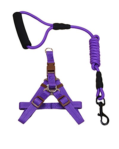 ZiXing Hundeleine Harness Collar Verstellbarer Durable Nylon Seil Comfort Schaum Griff Helle Farben für Kleine Mittlere und Große Hunde Purple2-Stück L von ZiXing