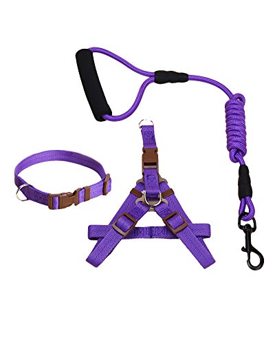 ZiXing Hundeleine Harness Collar Verstellbarer Durable Nylon Seil Comfort Schaum Griff Helle Farben für Kleine Mittlere und Große Hunde Purple3-Stück L von ZiXing