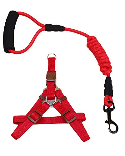 ZiXing Hundeleine Harness Collar Verstellbarer Durable Nylon Seil Comfort Schaum Griff Helle Farben für Kleine Mittlere und Große Hunde Red2-Stück L von ZiXing