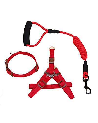 ZiXing Hundeleine Harness Collar Verstellbarer Durable Nylon Seil Comfort Schaum Griff Helle Farben für Kleine Mittlere und Große Hunde Red3-Stück L von ZiXing