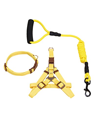 ZiXing Hundeleine Harness Collar Verstellbarer Durable Nylon Seil Comfort Schaum Griff Helle Farben für Kleine Mittlere und Große Hunde Yellow3-Stück L von ZiXing