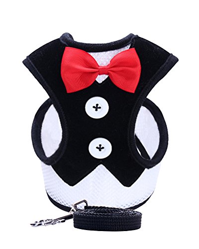 ZiXing Samt Tuxedo Gentleman Suit Hundegeschirr Weste mit Griff für kleine mittelgroße Hunde, Mops, Jack Russell, Terrier, Pudel, Welpen Schwarz L von ZiXing