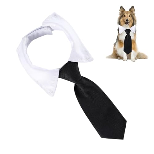 Ziabxhn Hundehalsband mit Fliege – formelles Haustierhalsband, Fliege aus Baumwollmaterial, für Hochzeit, Spazierengehen, Valentinstag und den täglichen Gebrauch von Ziabxhn