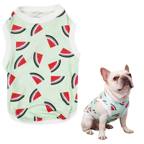 Zibeem Hunde-Sommershirt, kühlender Hundemantel,Welpen-T-Shirts mit Obstdruck, weich und atmungsaktiv - Haustierkleidung, Hundekleidungsshirt für den Sommer, sofortige Kühlung, Hundeweste für von Zibeem