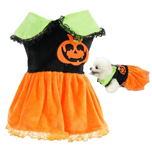 Zibeem Kürbiskostüm für Hunde,Hunde-Halloween-Kostüm,Hund Halloween Tutu | Festliches Hundekleid, Feiertags-Hundekleidung, Bezauberndes Hunde-Tutu-Kostüm für kleine mittelgroße Hunde von Zibeem