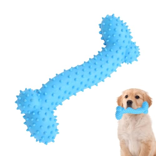 Hundespielzeug aus Knochen, Kauspielzeug aus Hundeknochen, quietschendes Latex, Hundeknochen aus Gummi für zähe Kauer, große und mittelgroße Hunde, fördert die Gesundheit von D von Ziennhu