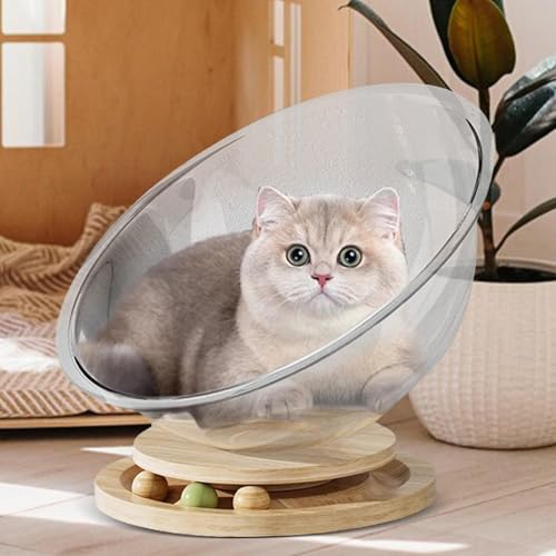 Katzenbett, Katzenhaus, transparent, freistehend, Möbel für Katzen, Zubehör für Haustiere, Stall, Aktivitätszentrum, einfache Reinigung von Ziennhu