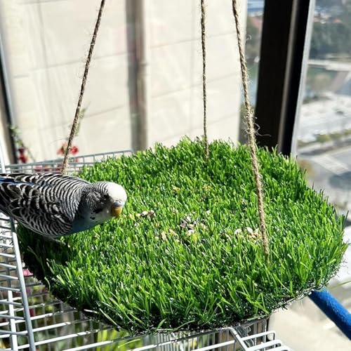 Vogelschaukel Matte Vogelschaukel Spielzeug Natürliche Kletterstange Hängende Vogelspielzeug mit Haken Zubehör für Kakadus Wellensittich Wellensittich Wellensittich von Ziennhu