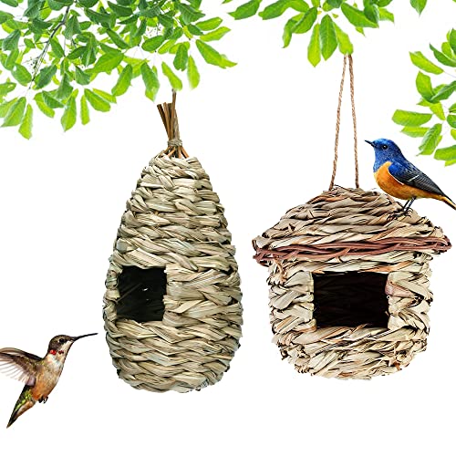 Zillary 2 Stück Gras Bird Nest, Vogelhaus Vogelnest, Handgewebte Vogelhäuser, Kolibri-Haus für Draußen Aufhängen, Handgewebte Vogelhütte, Vogelnest Garten, für Papageien, Kanarienvogel, Hummingbird von Zillary