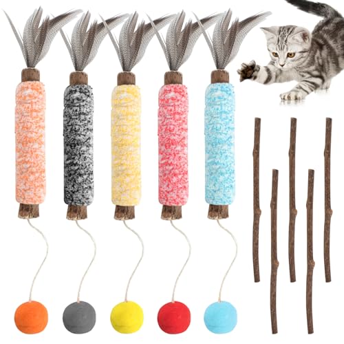 Zimoer Katzenspielzeug,10 Katzenminze Stick,Katzenminze Spielzeug,Zahnpflege Katzen,Interaktives Katzenspielzeug,Cat Toy Für Katzen Zahnpflege Spielzeug(3-6mm) von Zimoer