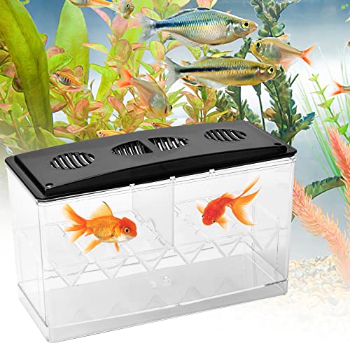 Fischzuchtkasten,Multifunktionale Zuchttanks Brutkasten Inkubator Box,Fisch Ablaichstation Aufzuchtbehälter Aquarium,für Babyfische, Garnelen, Clownfische und Guppys Kleine Größe von Zimoer