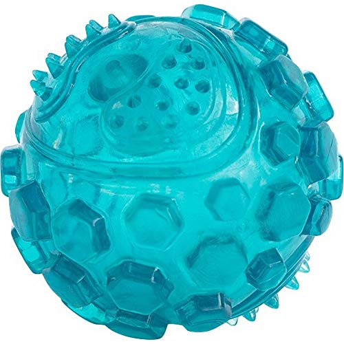 ZippyPaws ZP412 Squeaker Ball Teal Squeak Toy, Small von ZippyPaws