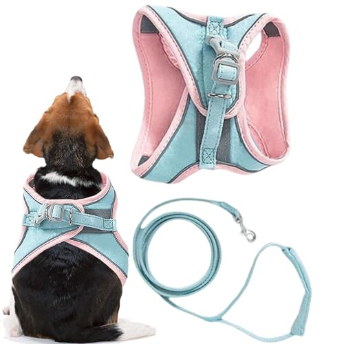 Kitten Harness - Small Dog Harness | Escape Proof Cat Vest | Cat Harness and Lead for Walking Escape Proof Cat Accessories for Night and Daytime Walking von Ziurmut