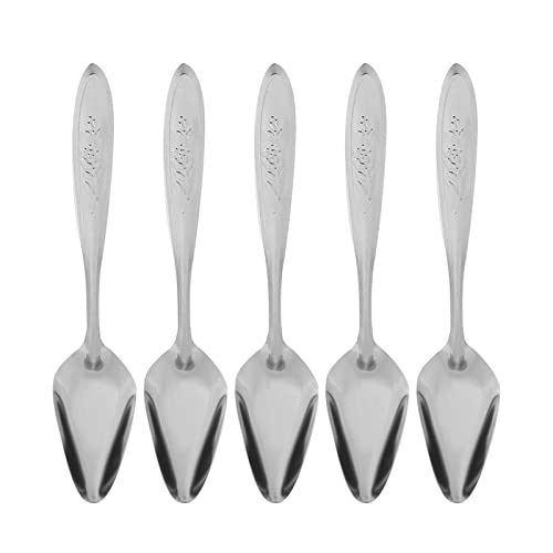 Zixyqol 5-teiliges Futterlöffel-Set für Vögel, Futterschaufeln, Handfütterungslöffel, Edelstahl-Milchpulver-Futterlöffel-Set, für Heimvögel von Zixyqol