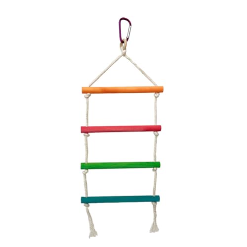 Zkydhbd Vogeltraining Kletterleiter Für Käfigdurablity Papageiholzholz Mit Metallhaken Für Kleine Mittlere Große Sittiche Zkydhbd Vogeltraining Kletterleiter Für Käfigdurablity Papageiholzholz Mit Metallhaken Für Kleine Mittlere Große Sittiche von Zkydhbd