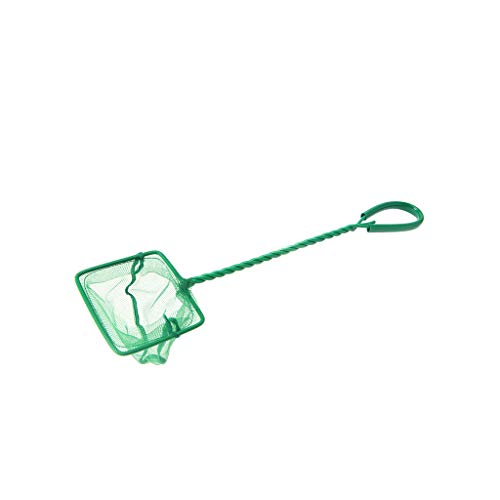Zkydhbd Aquarium Fish Net 3 "4" 5 "6" 8 "10" Fine Mesh Skimmer Filter Für Kleine Fische Für Tankfangnetz Mit Komfortables Zkydhbd Aquarium Fish Net 3 "4" 5 "6" 8 "10" Fine Mesh Skimmer Filter Für Kleine Fische Für Tankfangnetz Mit Komfortables von Zkydhbd