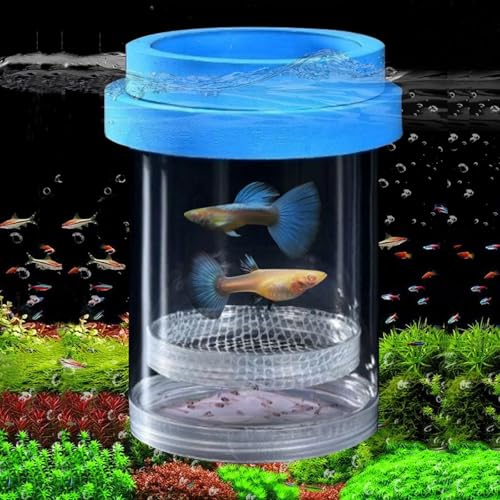 Züchterbox für Aquarien, Kunststoff-Aquarium-Zuchtkammer, schwimmende Netzisolierung, Brutkasten für kleine Fische, Betta-Garnelen, Clownfische, Guppy – verstellbare Aquarium-Trennwand (blau, groß) von Zoewan