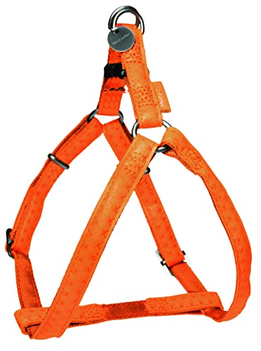 Zolux Mac Leather Geschirr verstellbar für Hunde orange 10 mm von Zolux