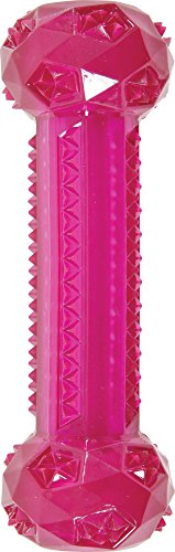 Zolux Pop Stick Spielzeug für Hunde Himbeer 5 x 5,5 x 15,8 cm von Zolux