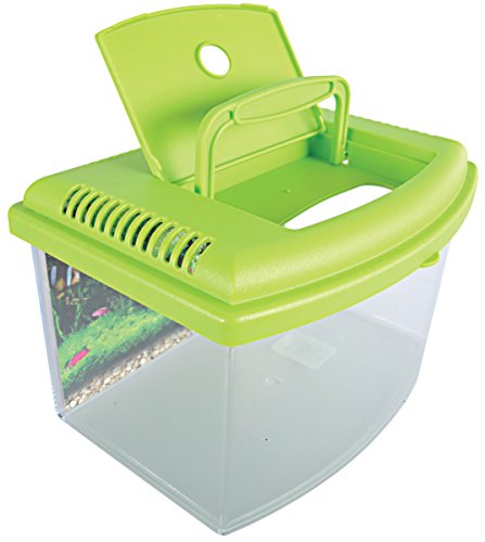 Zolux TravelBox II Aquarium für Transport/Kinderzimmer für Aquaristik 22 cm. von Zolux