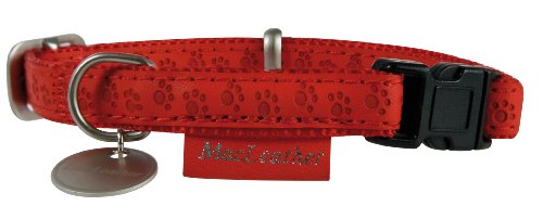 Zolux Rot Nylon Halskette mit Metallmedaillon für Hunde, 20 mm, für Welpen und kleine Hunde, Halsumfang 35/50 cm von Zolux