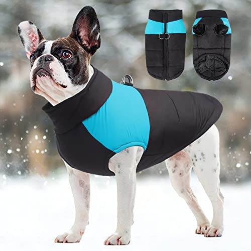 Zomtier Hundemantel Wasserdicht Hundejacke Winter Warme Jacke für Kleine Mittelgroße und Große Hunde, Winddicht Schneeanzug Hundekleidung Hund Welpen Kleidung Weste Haustier Gepolsterte Weste von Zomtier